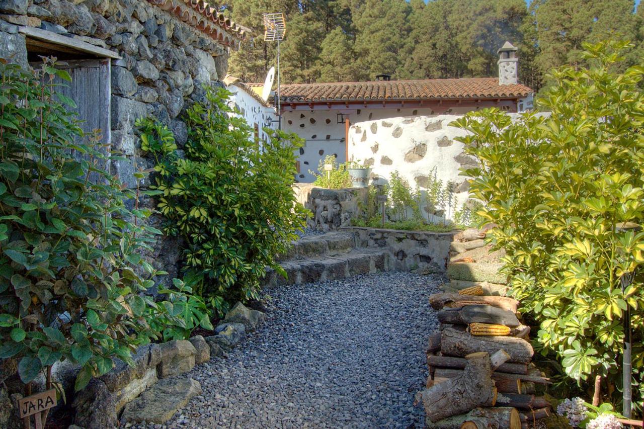 Holidaynorthtenerife Casa Rural Montiel Icod De Los Vinos Eksteriør bilde