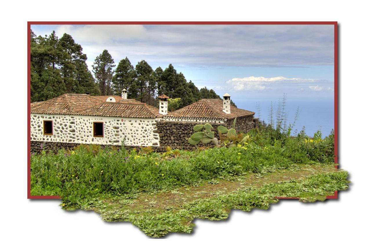 Holidaynorthtenerife Casa Rural Montiel Icod De Los Vinos Eksteriør bilde